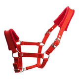 Sturdy PP Webbing Horse Cage Head Cover
