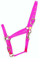 Hamilton 3/4-Inch Nylon Arabian Horse Halter with Adjustable Chin and Throat Snap Small 500 to 800 pounds Hot Pink