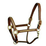 Exion Leather Horse Halter Brass Gold Clincher Studded Soft Padded Halter with Adjustable Chin Throat Snap and Quick Release Crownpiece