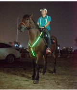 LED Light With Horse Chest Strap Flash