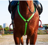 LED Light With Horse Chest Strap Flash