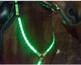 LED Light With Horse Chest Strap Flash