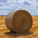 Musselton 5x5 Ft Large Round Bale Hay Net 1.5" Holes Sturdy Hay Net Slow Feed for Horses Fits Round Bales 4x4-5x5 or Square Bales 3x3x8-4x4x8