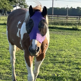 ‌UV Protection Horse Fly Mask Adjustable Breathable Mesh for Riding