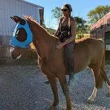 ‌UV Protection Horse Fly Mask Adjustable Breathable Mesh for Riding