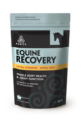 PURICA Equine Hyaluronic Acid - Horse Joint Support Supplement with Glucosamine MSM Powder Betaine Magnesium Vitamin C and E - Green Tea and Grape Seed Extract - Horse Supplies and Treats