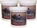 EQUIDERMA Wound Ointment for Horses 16 Ounces Each (3 Pack / 16-Ounces)3