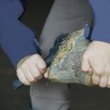 Horse Grooming Tools for Stables and Hoof Care